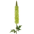 PUSTYNNIK HIMALAJSKI kwiat sztuczny dekoracyjny - 108 cm - zielony 1
