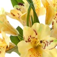 RODODENDRON sztuczny kwiat dekoracyjny o płatkach z jedwabistej tkaniny - 48 cm - żółty 2