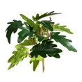 ROŚLINA ZIELONA o ozdobnych zielonych liściach liściach, kwiat sztuczny dekoracyjny - 20 cm - zielony 1