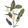 EUKALIPTUS gałązka z listeczkami z jedwabistej tkaniny - dł. 60 cm dł. z liśćmi 30 cm dł. 8 cm - zielony 1