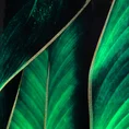 Obraz GREEN z nadrukiem liści w czarnej ramce - 53 x 73 cm - zielony 2