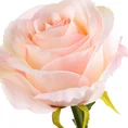 RÓŻA  kwiat sztuczny dekoracyjny z płatkami z jedwabistej tkaniny - ∅ 10 x 62 cm - jasnoróżowy 2