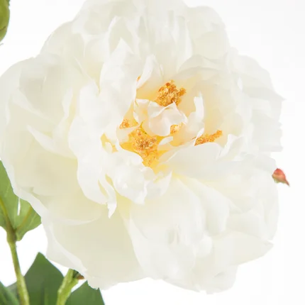 PIWONIA/PEONIA - kwiat sztuczny dekoracyjny z płatkami z jedwabistej tkaniny PIWONIA/PEONIA - kwiat sztuczny dekoracyjny z płatkami z jedwabistej tkaniny - ∅ 13 x 66 cm