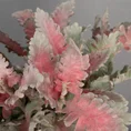 STARZEC kwiat sztuczny dekoracyjny - 38 cm - różowy 2