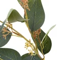 EUKALIPTUS gałązka z listeczkami z jedwabistej tkaniny - dł. 60 cm dł. z liśćmi 30 cm dł. 8 cm - zielony 2