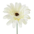 GERBERA sztuczny kwiat dekoracyjny o płatkach z jedwabistej tkaniny - ∅ 12 x 55 cm - biały 1
