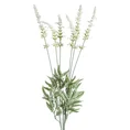 SZAŁWIA ŁĄKOWA sztuczny kwiat dekoracyjny - 56 cm - kremowy 1
