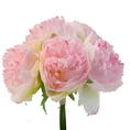 PEONIA - PIWONIA bukiet, kwiat sztuczny dekoracyjny - ∅ 26 x 31 cm - jasnoróżowy 1