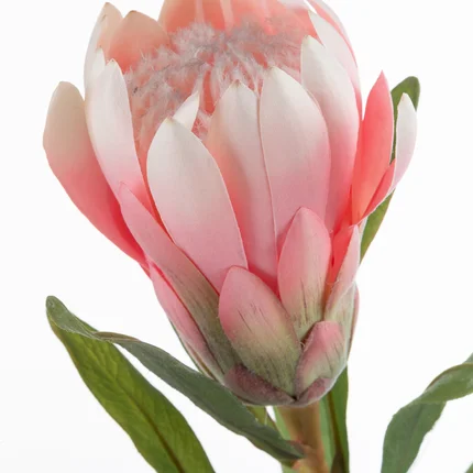 PROTEA - sztuczny kwiat dekoracyjny o płatkach z jedwabistej tkaniny PROTEA - sztuczny kwiat dekoracyjny o płatkach z jedwabistej tkaniny - ∅ 9 x 63 cm