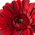 GERBERA sztuczny kwiat dekoracyjny o płatkach z jedwabistej tkaniny - ∅ 12 x 55 cm - czerwony 2