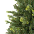 Choinka zielone drzewko na pniu JODŁA - kolekcja Jodeł Żywieckich zagęszczana dodatkowymi gałązkami - 220 cm - ciemnozielony 2
