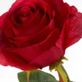 RÓŻA  kwiat sztuczny dekoracyjny z płatkami z jedwabistej tkaniny - ∅ 10 x 62 cm - czerwony 2