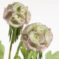 DRIAKIEW GWIAŹDZISTA kwiat sztuczny dekoracyjny z płatkami z jedwabistej tkaniny - ∅ 6 x 50 cm - zielony 2