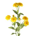 SANTINI CHRYZANTEMA - MARGARETKA, kwiat sztuczny dekoracyjny - ∅ 4 x 65 cm - żółty 1