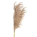 TRAWA PAMPASOWA - OZDOBNY PIÓROPUSZ kwiat sztuczny dekoracyjny - 80 cm - jasnobrązowy 1