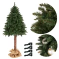 Choinka zielone drzewko na pniu JODŁA - kolekcja Jodeł Żywieckich - 150 cm - zielony 3