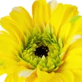 GERBERA sztuczny kwiat dekoracyjny o płatkach z jedwabistej tkaninY - ∅ 12 x 55 cm - żółty 2