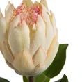 PROTEA egzotyczny kwiat sztuczny dekoracyjny z płatkami z jedwabistej tkaniny - 66 cm - kremowy 2