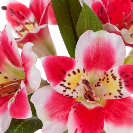 RODODENDRON sztuczny kwiat dekoracyjny o płatkach z jedwabistej tkaniny RODODENDRON sztuczny kwiat dekoracyjny o płatkach z jedwabistej tkaniny - 48 cm