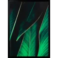 Obraz GREEN z nadrukiem liści w czarnej ramce - 53 x 73 cm - zielony 1