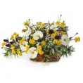 OSET POLNY kwiat sztuczny dekoracyjny z tkaniny - 84 cm - bordowy 2