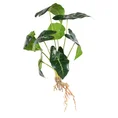 KWIAT DONICZKOWY o ciemnozielonych ozdobnych liściach, kwiat sztuczny dekoracyjny - 40 cm - zielony 1