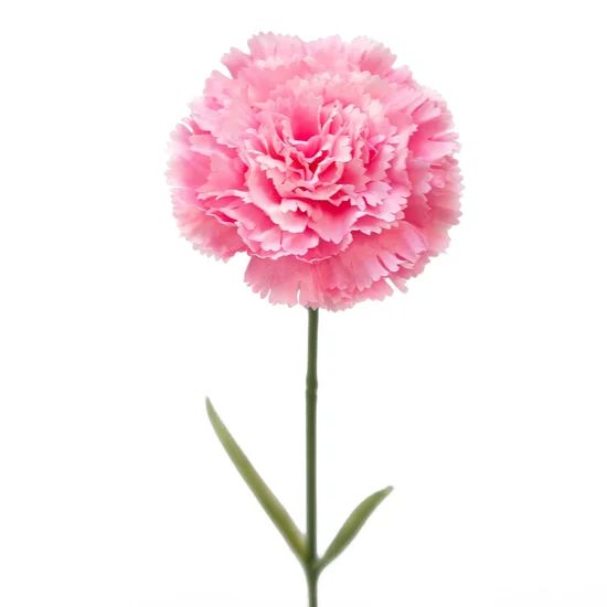 GOŹDZIK kwiat sztuczny dekoracyjny - dł. 60 cm śr. kwiat 11 cm - różowy