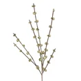 GAŁĄZKA OZDOBNA z pąkami, kwiat sztuczny dekoracyjny - 106 cm - zielony 1