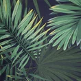 Zasłona z miękkiego welwetu z nadrukiem egzotycznych liści - 140 x 250 cm - zielony 7