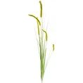 TRAWA OZDOBNA Z DŁUGIMI KŁOSAMI, sztuczna roślina dekoracyjna - 53 cm - zielony 1