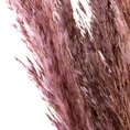 SUSZONA TRAWA PAMPASOWA, naturalny susz, pęczek 12 szt - 73 cm - różowy 3