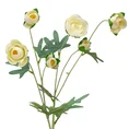 JASKIER - PEŁNIK, kwiat sztuczny dekoracyjny - ∅ 5 x 81 cm - kremowy 1