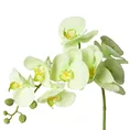 STORCZYK kwiat sztuczny dekoracyjny - dł. 95 cm dł. z kwiatami 40 cm śr. kwiat 10 cm - jasnozielony 1