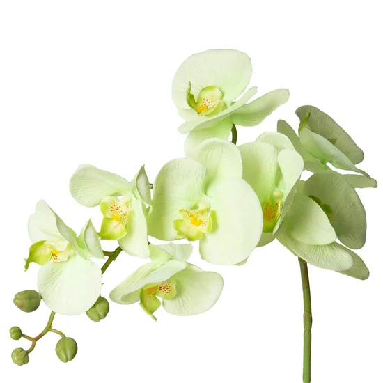 STORCZYK kwiat sztuczny dekoracyjny - dł. 95 cm dł. z kwiatami 40 cm śr. kwiat 10 cm - jasnozielony