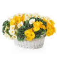 KAPUSTA OZDOBNA  sztuczny kwiat dekoracyjny z jedwabistej tkaniny - ∅ 10 x 40 cm - zielony 2
