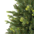 Choinka zielone drzewko JODŁA - kolekcja Jodeł Żywieckich zagęszczana dodatkowymi gałązkami - 180 cm - ciemnozielony 2