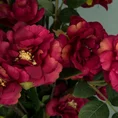 DZIKA RÓŻA gałązka, kwiat sztuczny dekoracyjny - ∅ 5 x 75 cm - amarantowy 3