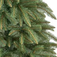 Choinka zielone drzewko na pniu ŚWIERK - kolekcja Świerków Żywieckich - 220 cm - ciemnozielony 7