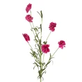 CHABER BŁAWATEK ŁĄKOWY kwiat sztuczny dekoracyjny - dł.70cm dł. z kwiatami 38cm śr.5cm - różowy 1