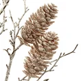 Zimowa gałązka dekoracyjna z naturalnymi szyszkami - 10 x 80 cm - jasnobrązowy 2