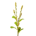 LAWENDA gałązka, kwiat sztuczny dekoracyjny - dł. 57 cm dł. z kwiatami 35 cm - żółty 1