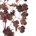 MOTYLNIK STORCZYK kwiat sztuczny dekoracyjny z płatkami z jedwabistej tkaniny - 80 cm - brązowy 2