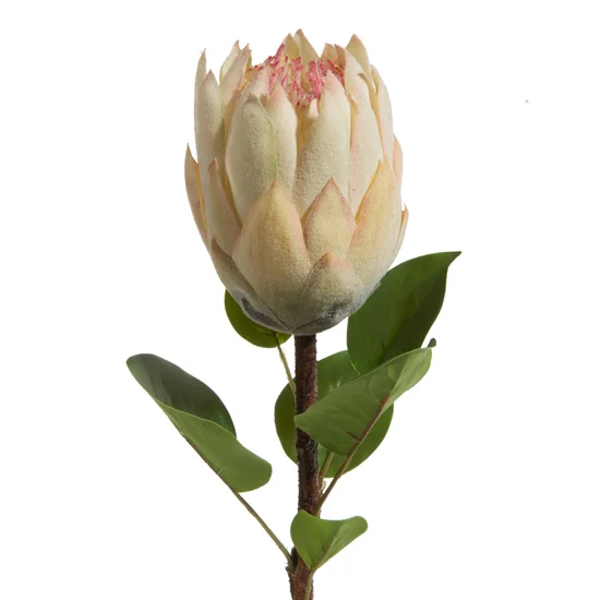 PROTEA egzotyczny kwiat sztuczny dekoracyjny z płatkami z jedwabistej tkaniny - 66 cm - kremowy
