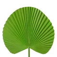 LIŚĆ DUŻY OZDOBNY BOTANICZNY, kwiat sztuczny dekoracyjny z silikonu - 55 cm - zielony 1