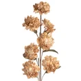 Syntetyczny kwiat dekoracyjny z pianki foamiraian - ∅ 11 x 97 cm - jasnobrązowy 1