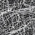 Firana MIRREN o strukturze pajęczej sieci - 300 x 270 cm - biały 6