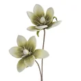 MAGNOLIA kwiat sztuczny dekoracyjny z plastycznej pianki foamirian - ∅ 17 x 70 cm - zielony 1