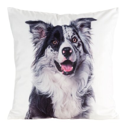 Poszewka welwetowa ANIMAL zdobiona nadrukiem psa 45 x 45 cm biały,czarny | Eurofirany