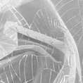 Firana LEILA z tkaniny o strukturze drobnej siateczki z nadrukiem srebrnych liści - 140 x 260 cm - biały 8