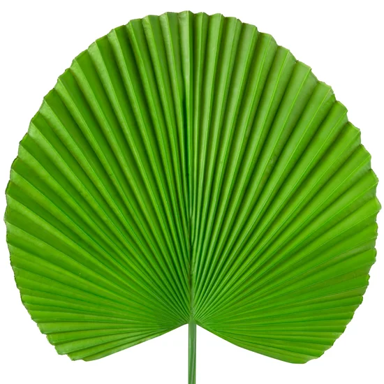 LIŚĆ DUŻY BOTANICZNY, kwiat sztuczny dekoracyjny z silikonu - 83 cm - zielony